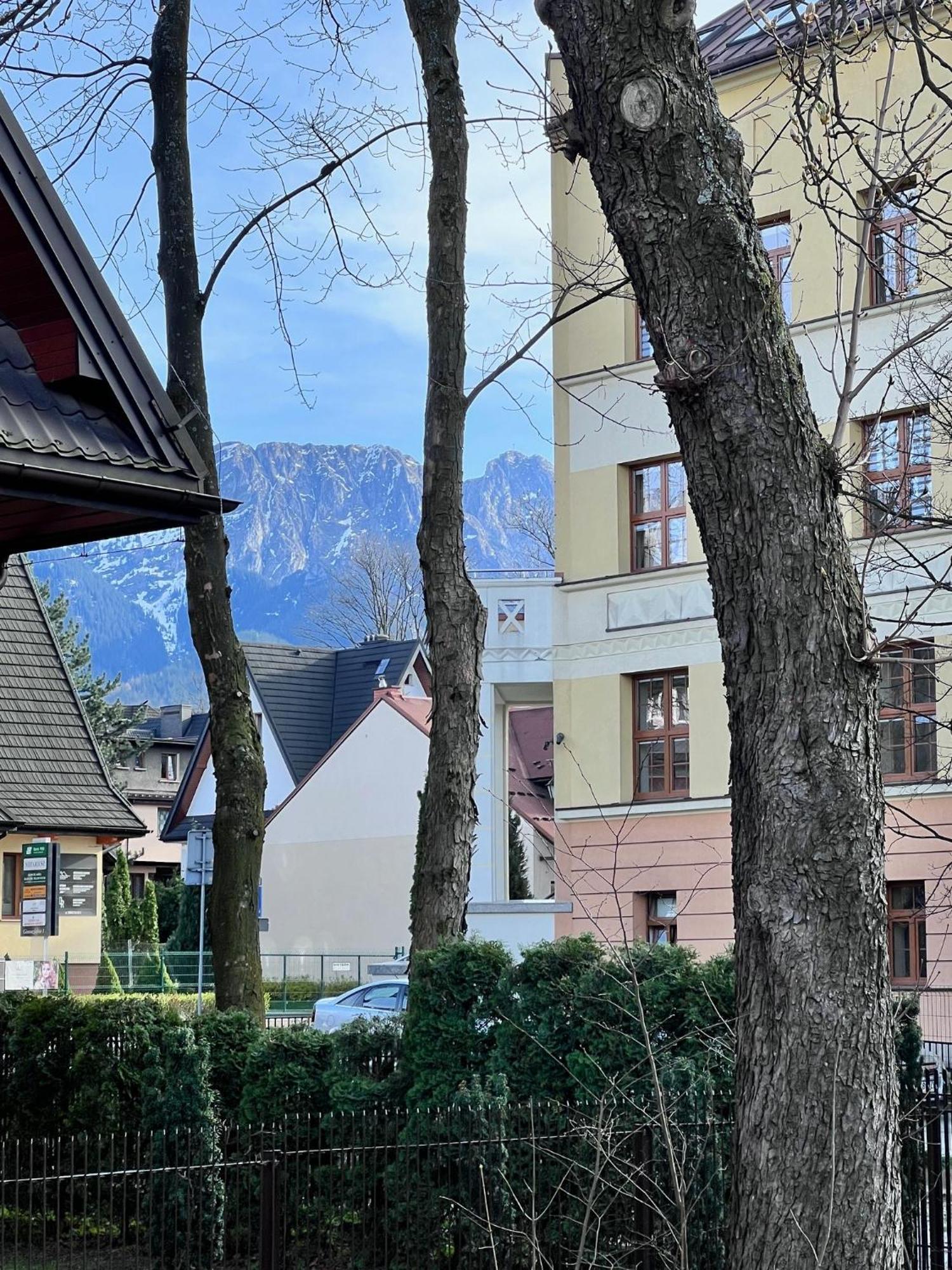 Willa Jasna Apartamenty Centrum Закопане Экстерьер фото