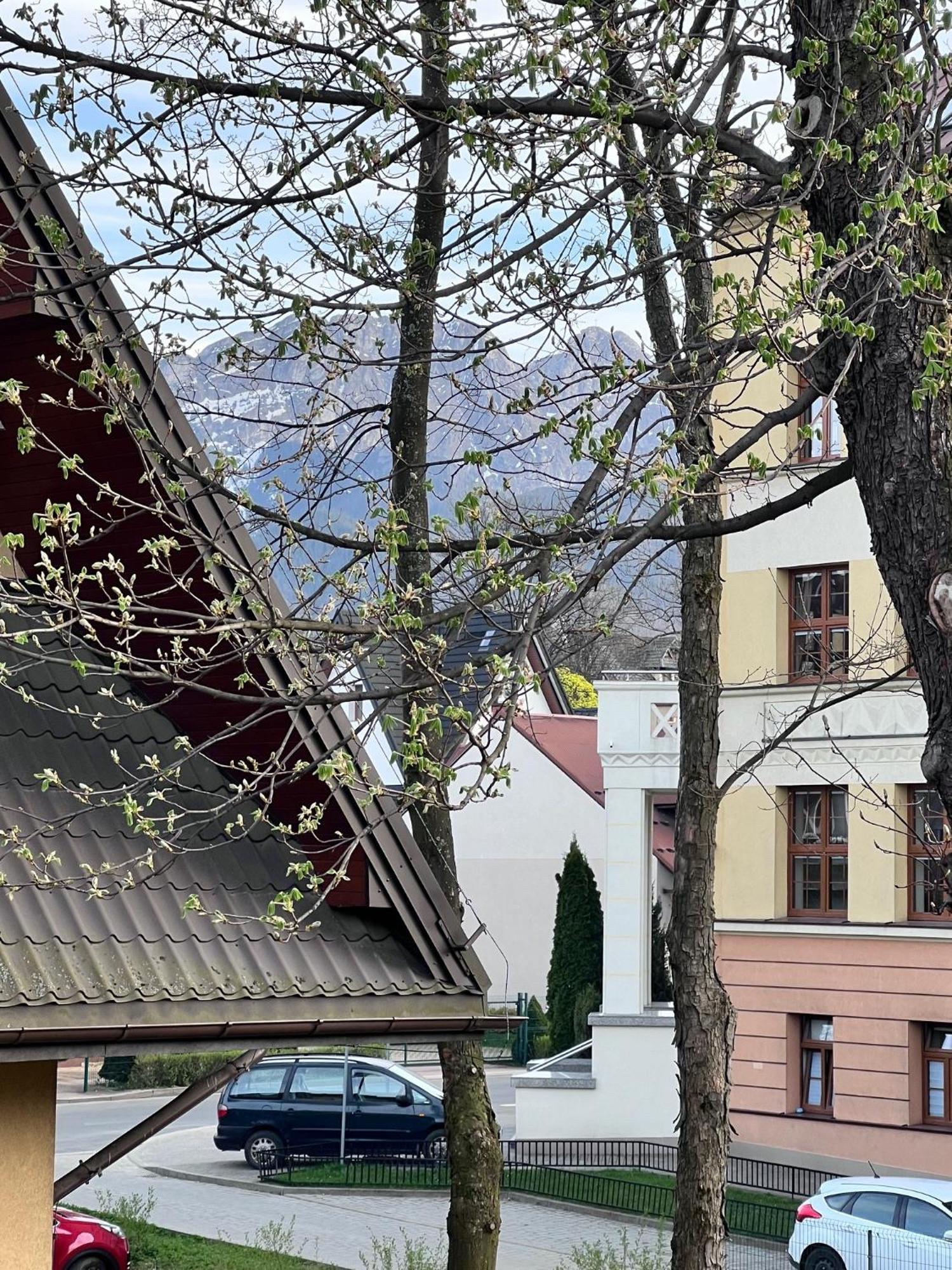 Willa Jasna Apartamenty Centrum Закопане Экстерьер фото